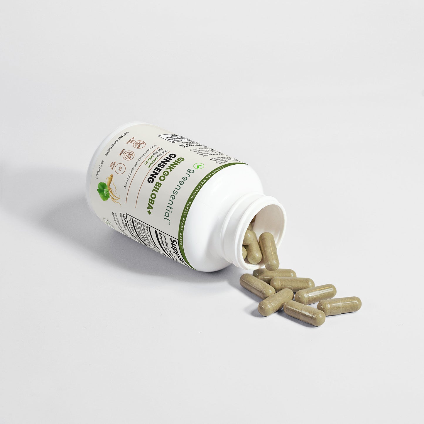 Ginkgo Biloba + Ginseng